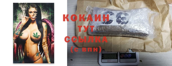 спиды Кизел