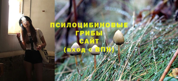 МДПВ Кулебаки