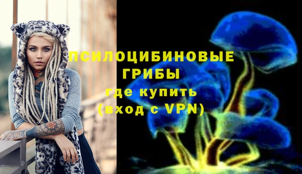 дмт Карабаново