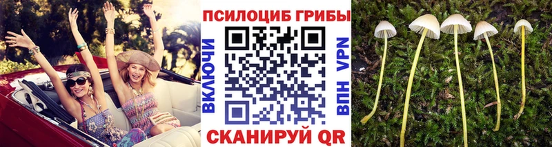 Псилоцибиновые грибы мухоморы  Мглин 